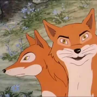 fox and vixen